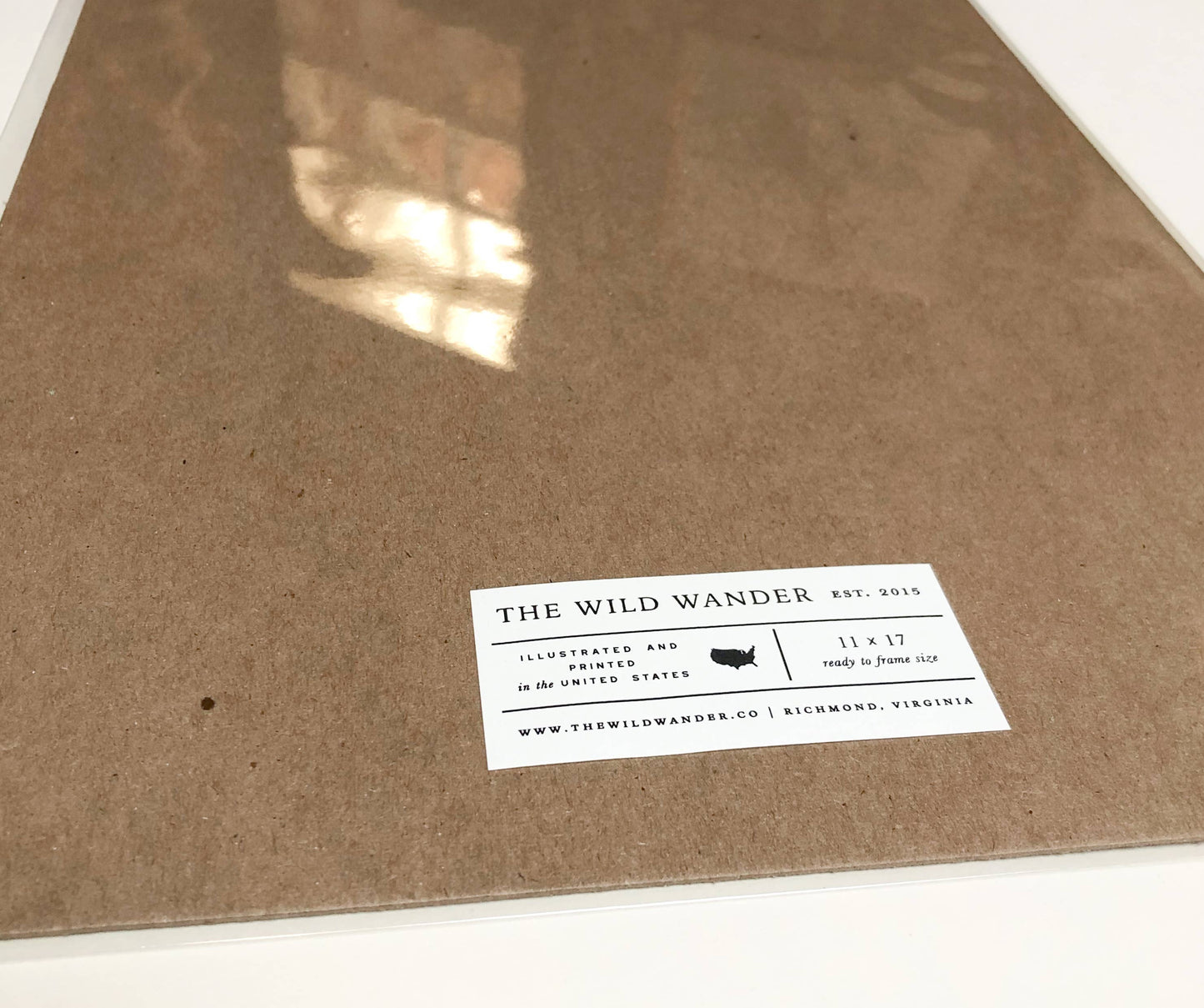 Outer Banks Field Guide