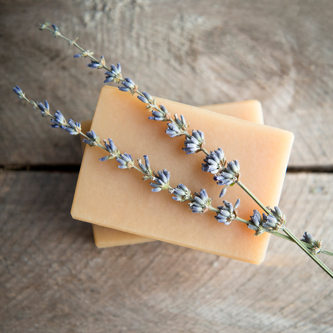 Lavender Goat Milk Soap Bar
