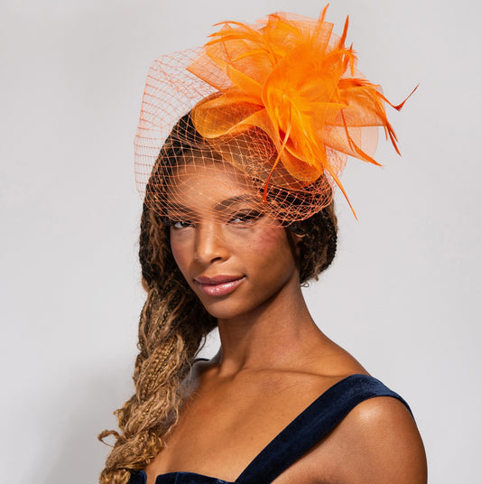 Ruffle Mesh with Feathers & Netting Fascinator