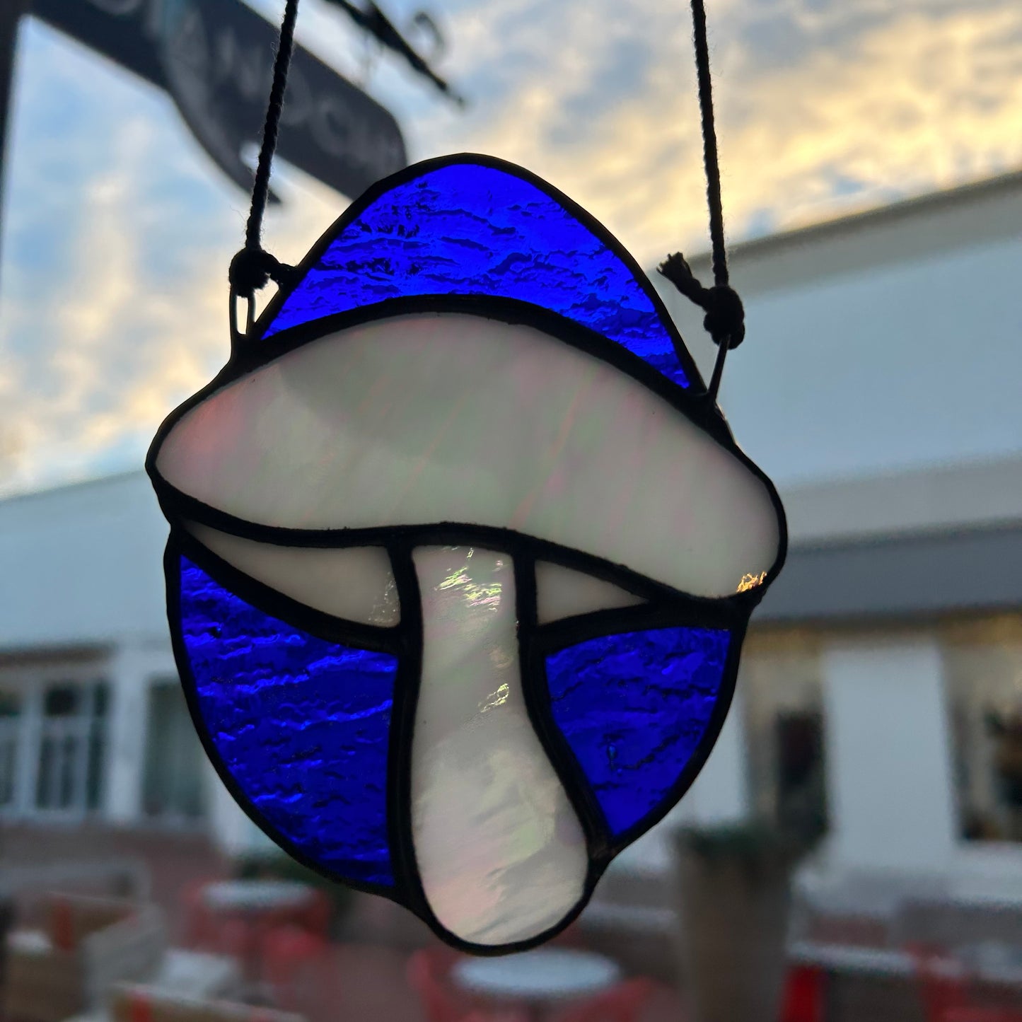 Aergase Stained Glass Mushrooms