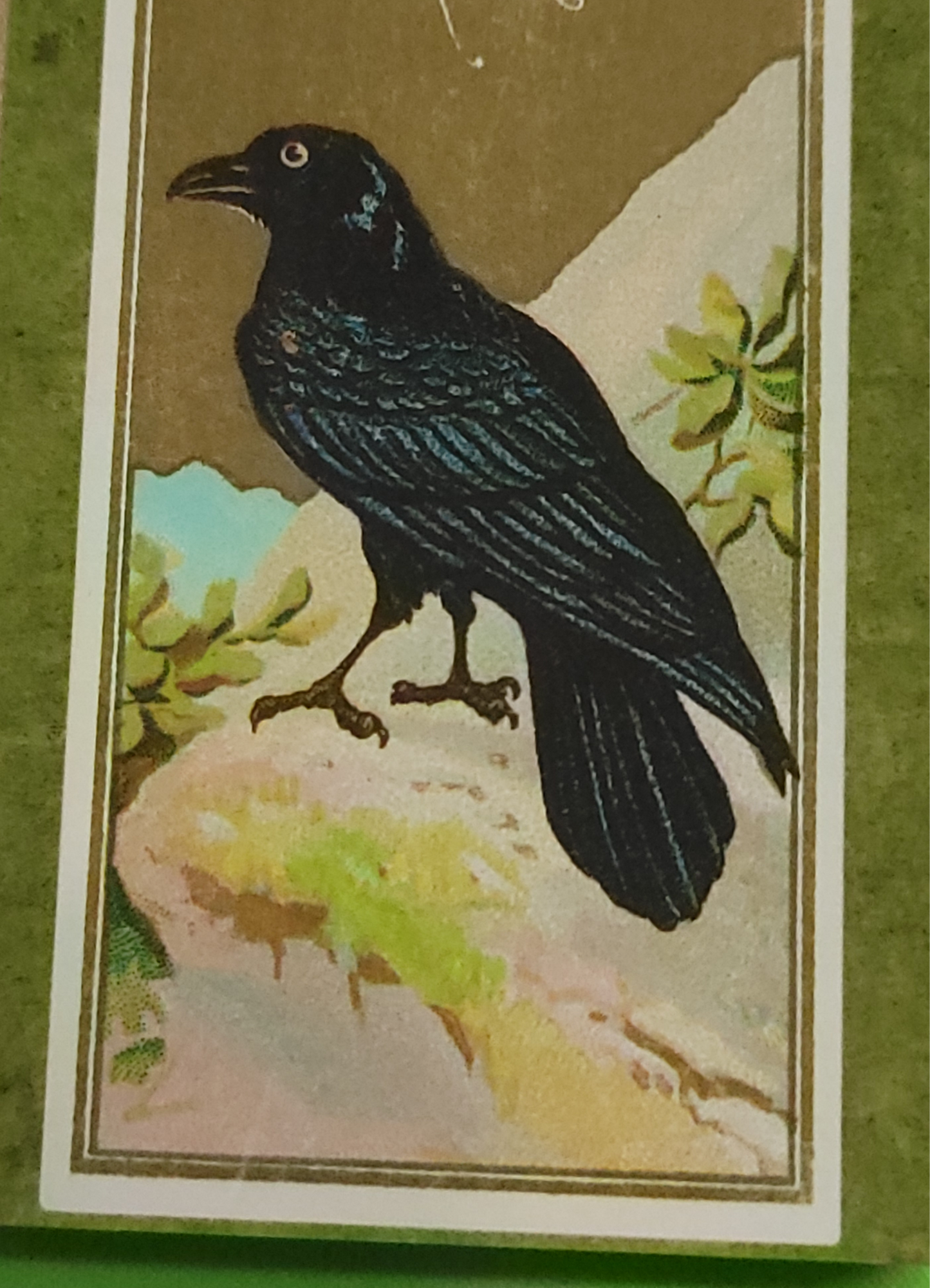 Handcrafted Decorative "Edgar Allan Poe" Matchboxes. 3 Designs Available.