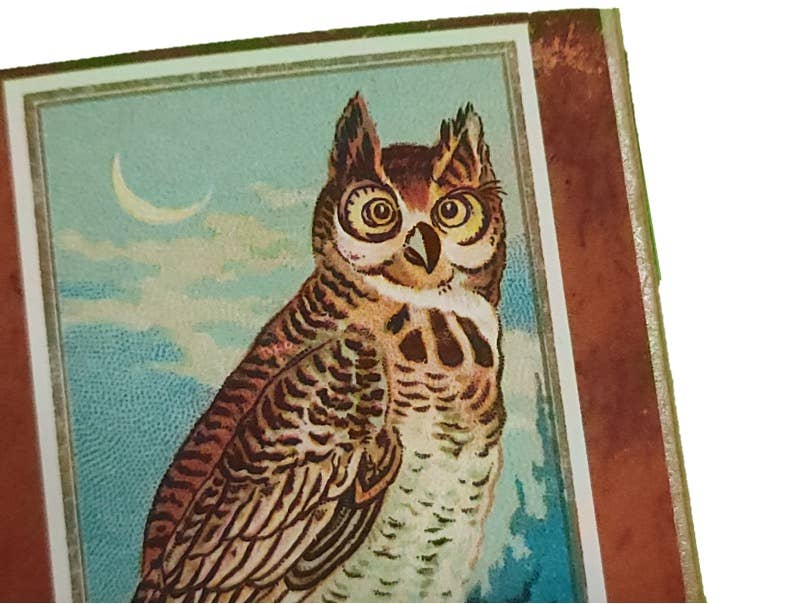 Handcrafted Decorative "Edgar Allan Poe" Matchboxes. 3 Designs Available.