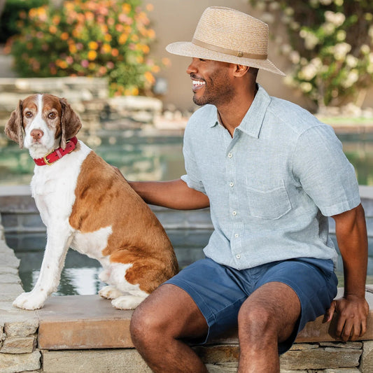 Wallaroo The Everett