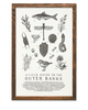 Outer Banks Field Guide