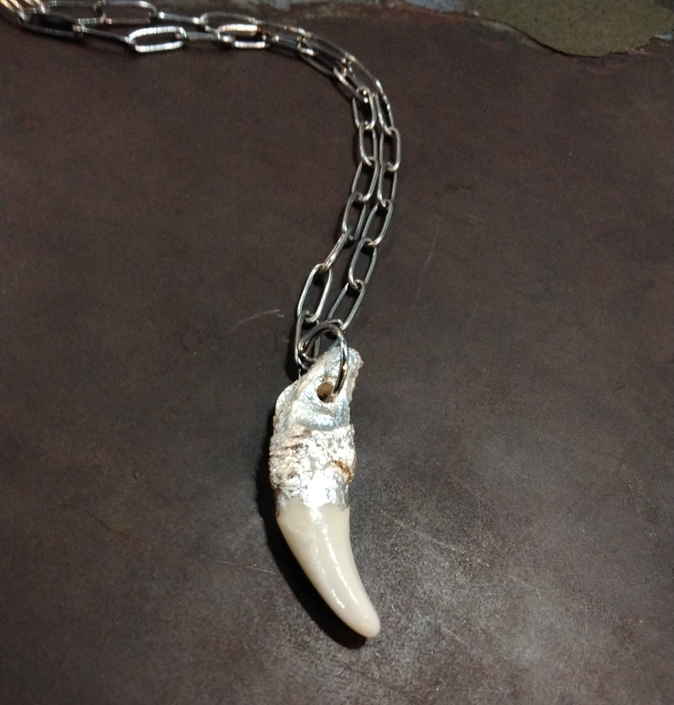 Canine jewelry on sale