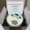 "Balance" Peppermint & Eucalyptus Hand-Poured Soy Candle